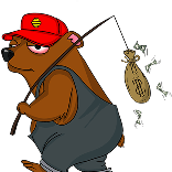 money bear